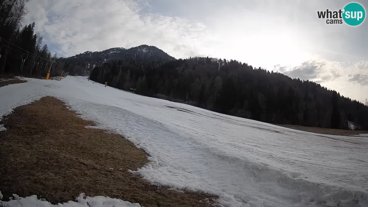 RTC Skigebiet Kranjska Gora | Brsnina