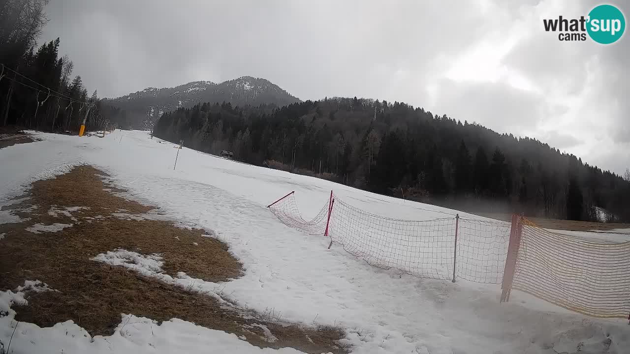 Ski Kranjska Gora | Brsnina