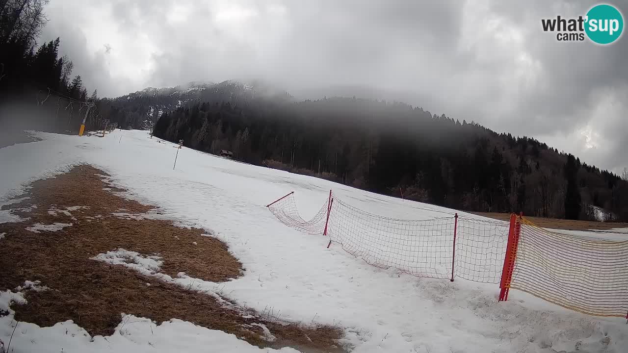 RTC Kranjska Gora | Brsnina