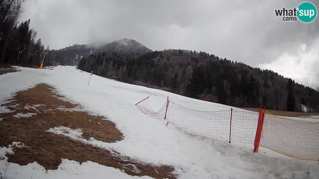 RTC Kranjska Gora | Brsnina