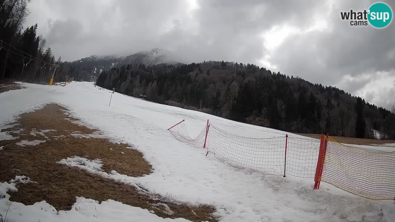 Ski Kranjska Gora | Brsnina