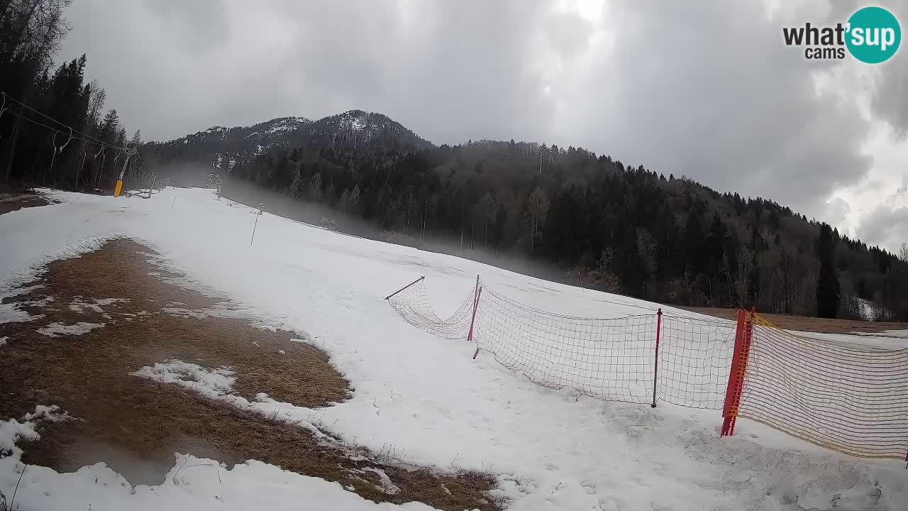 Ski Kranjska Gora | Brsnina