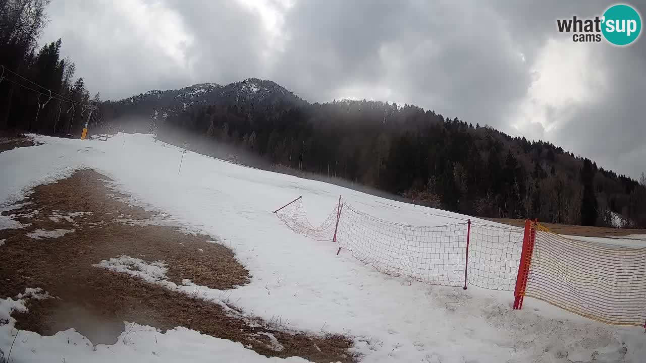 Comprensorio sciistico Kranjska Gora | Brsnina