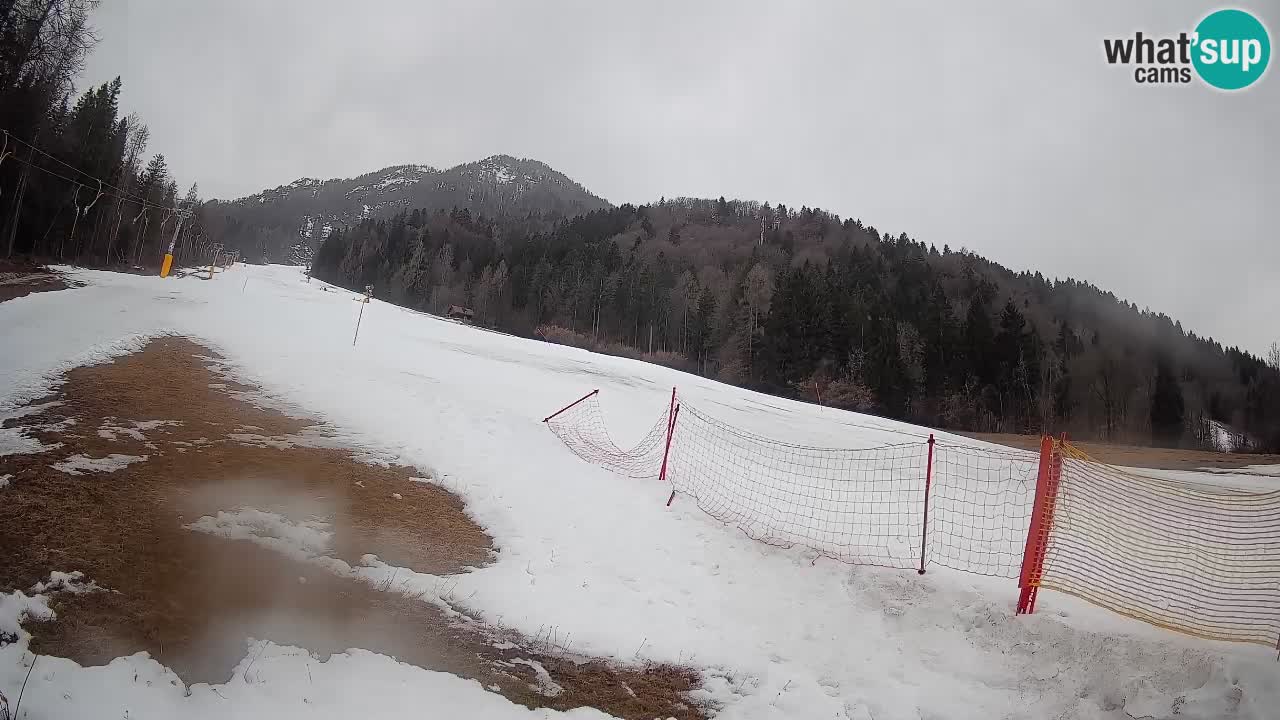 RTC Skigebiet Kranjska Gora | Brsnina