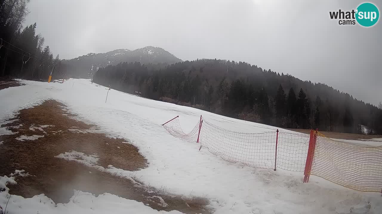 Comprensorio sciistico Kranjska Gora | Brsnina