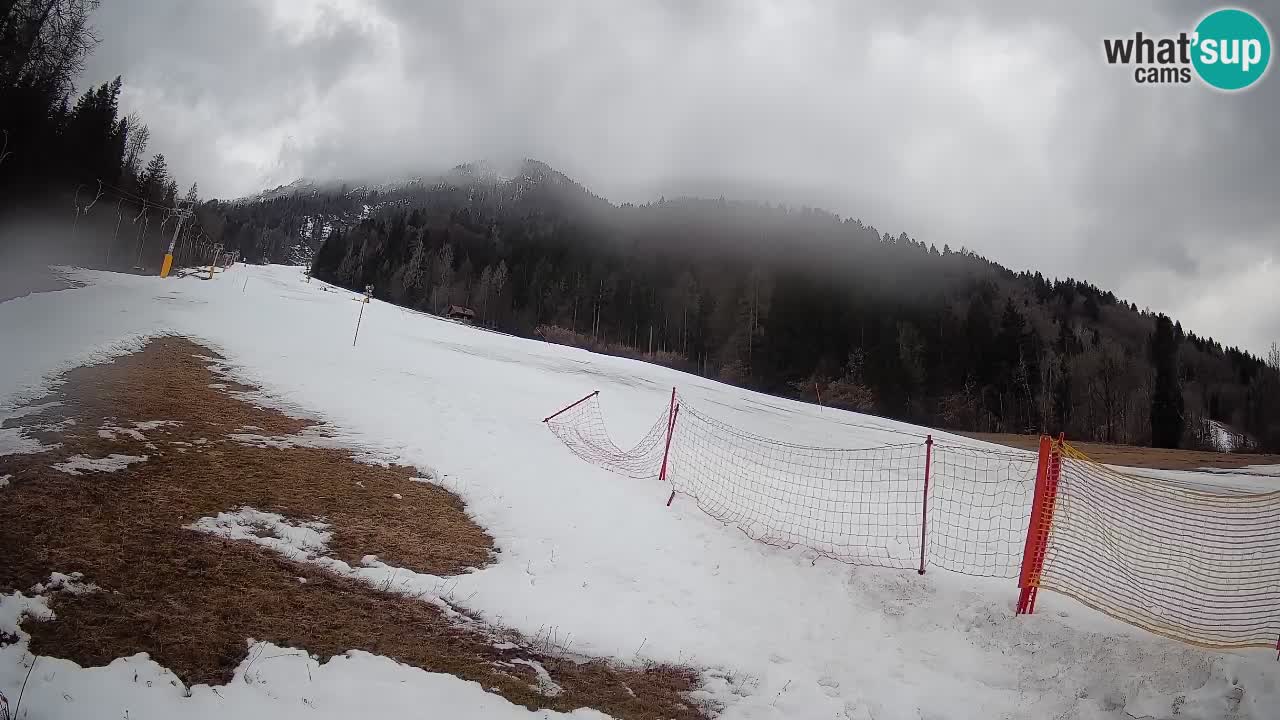RTC Skigebiet Kranjska Gora | Brsnina