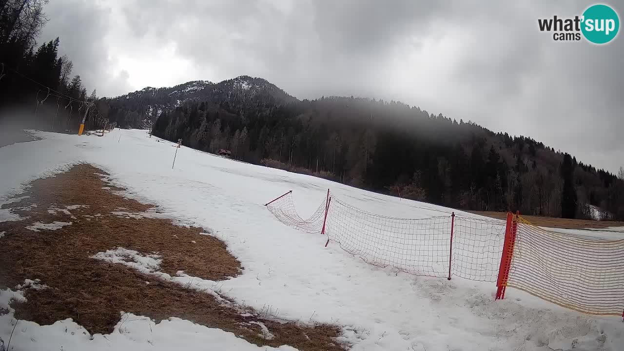 Esquí Kranjska Gora | Brsnina
