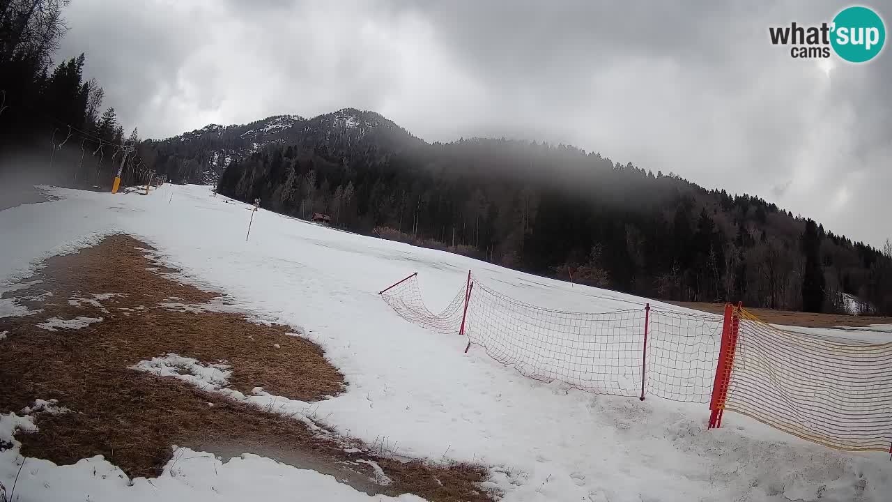 Kranjska Gora Station de ski | Brsnina