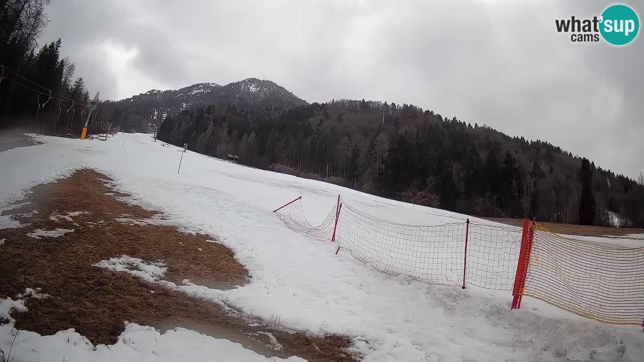 Kranjska Gora Station de ski | Brsnina