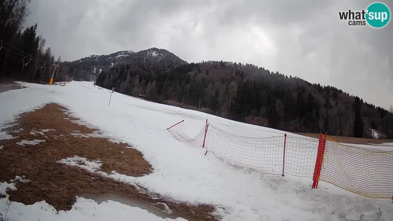Kranjska Gora Station de ski | Brsnina