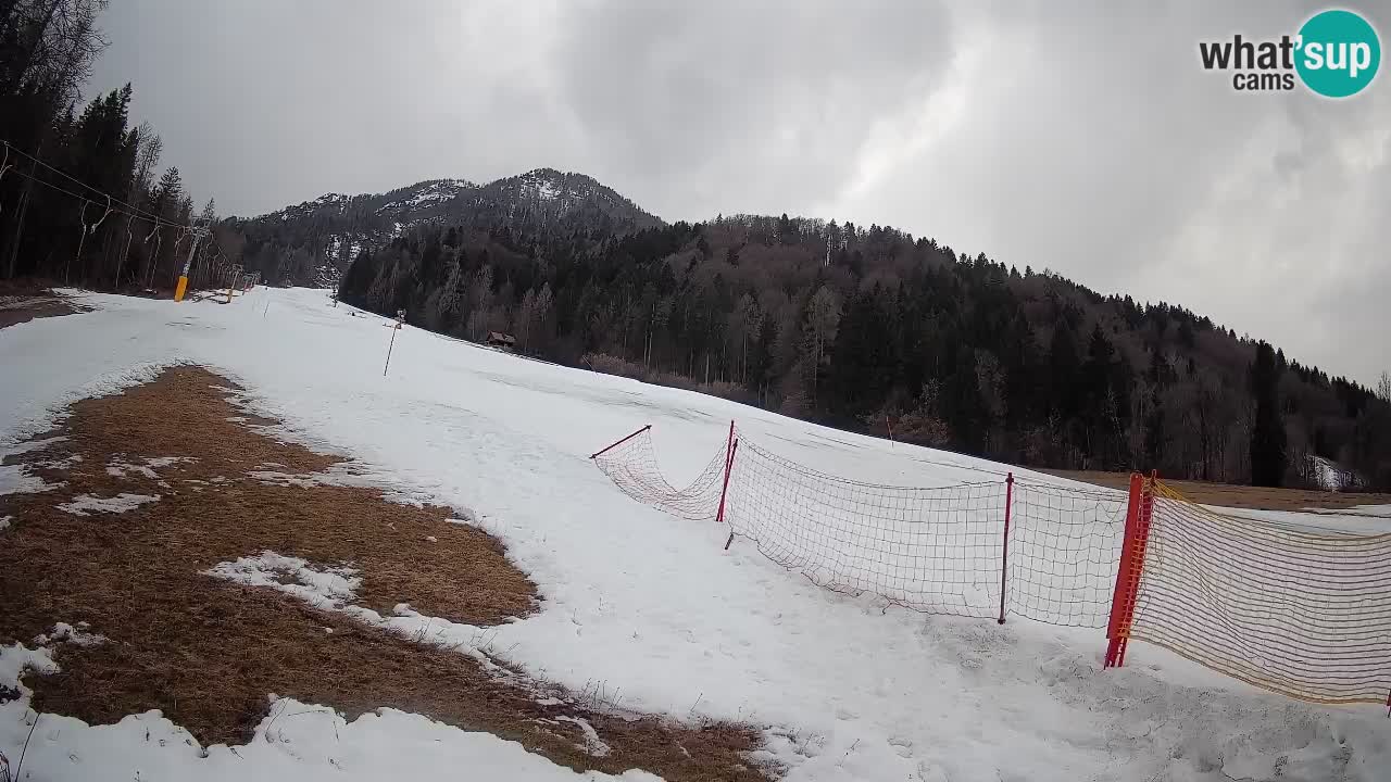 Esquí Kranjska Gora | Brsnina
