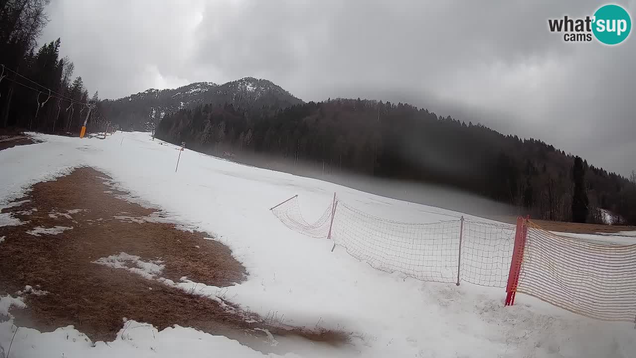 RTC Skigebiet Kranjska Gora | Brsnina