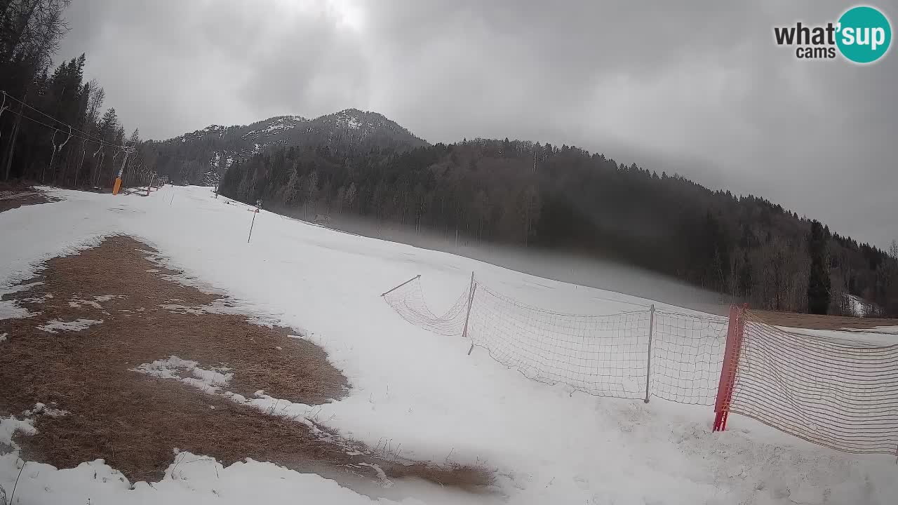 RTC Skigebiet Kranjska Gora | Brsnina