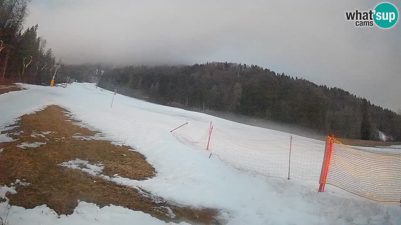 RTC Kranjska Gora | Brsnina