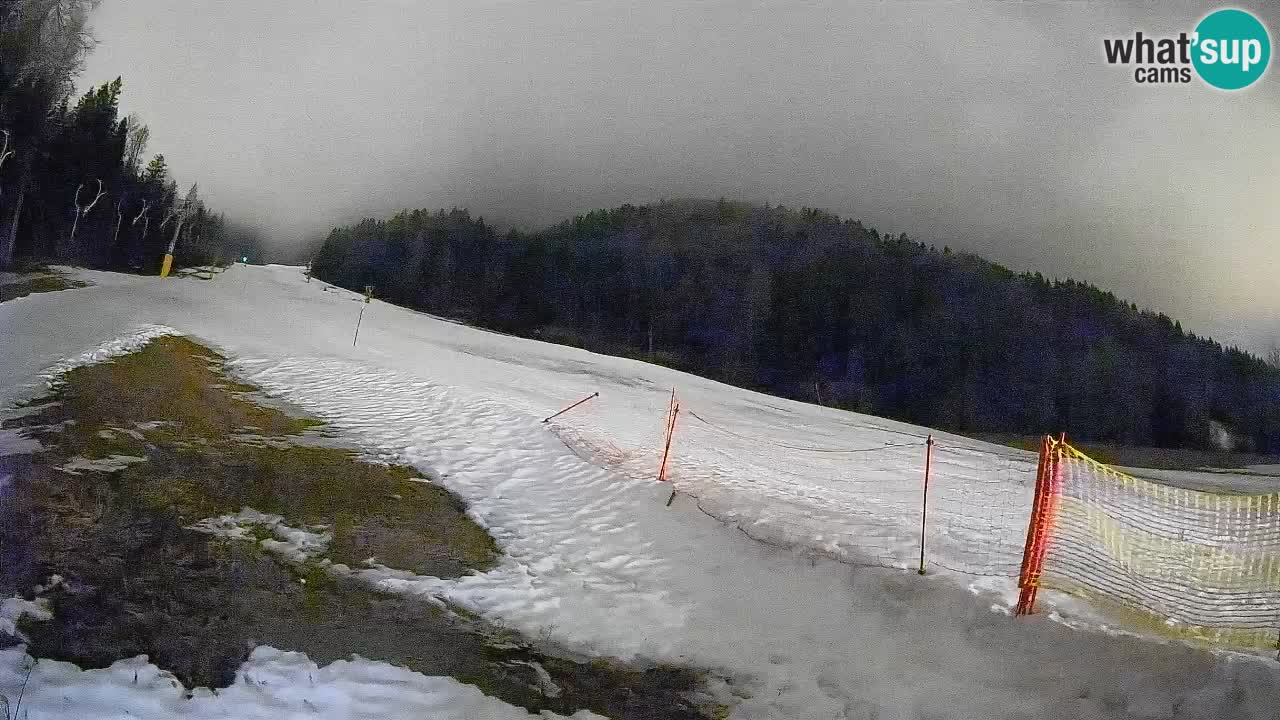 Ski Kranjska Gora | Brsnina