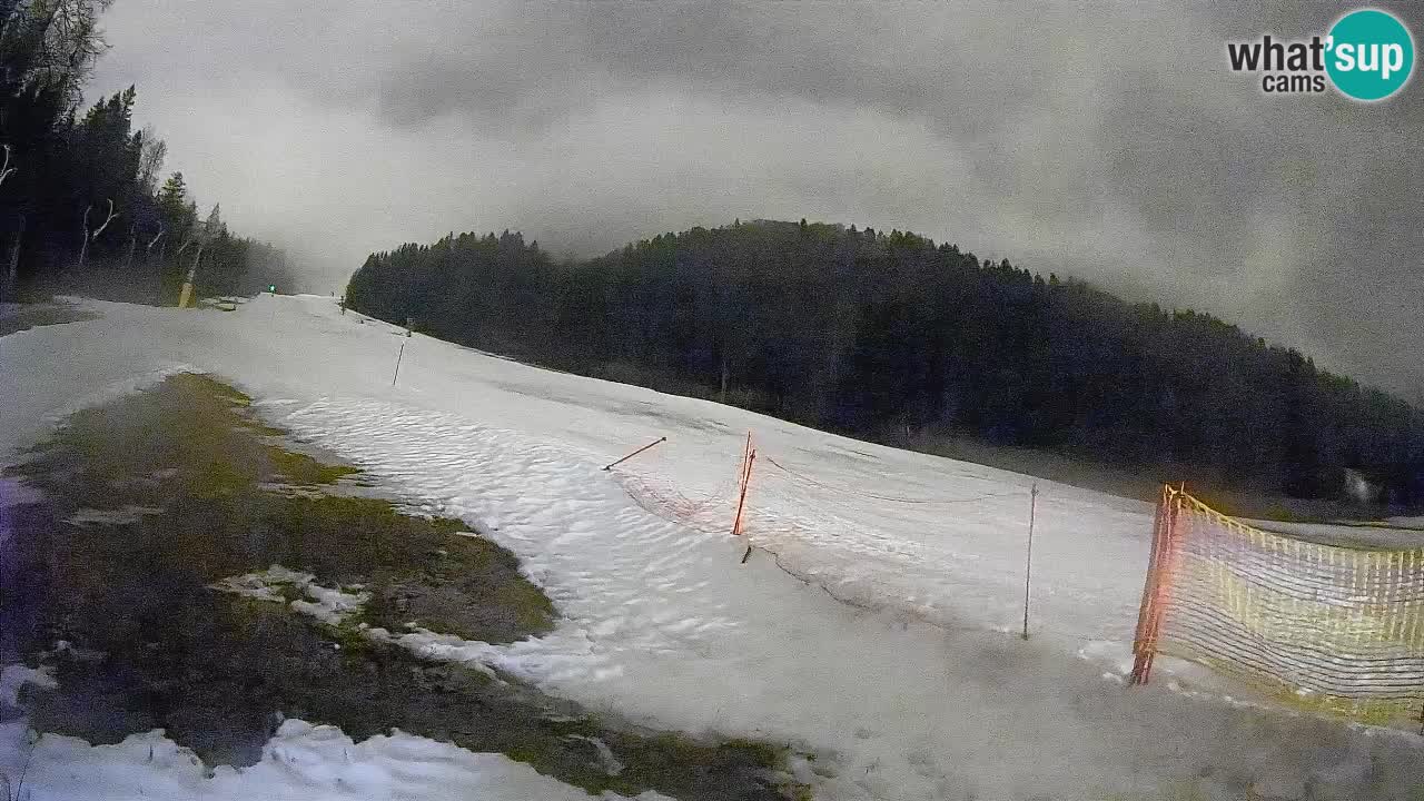 Ski Kranjska Gora | Brsnina