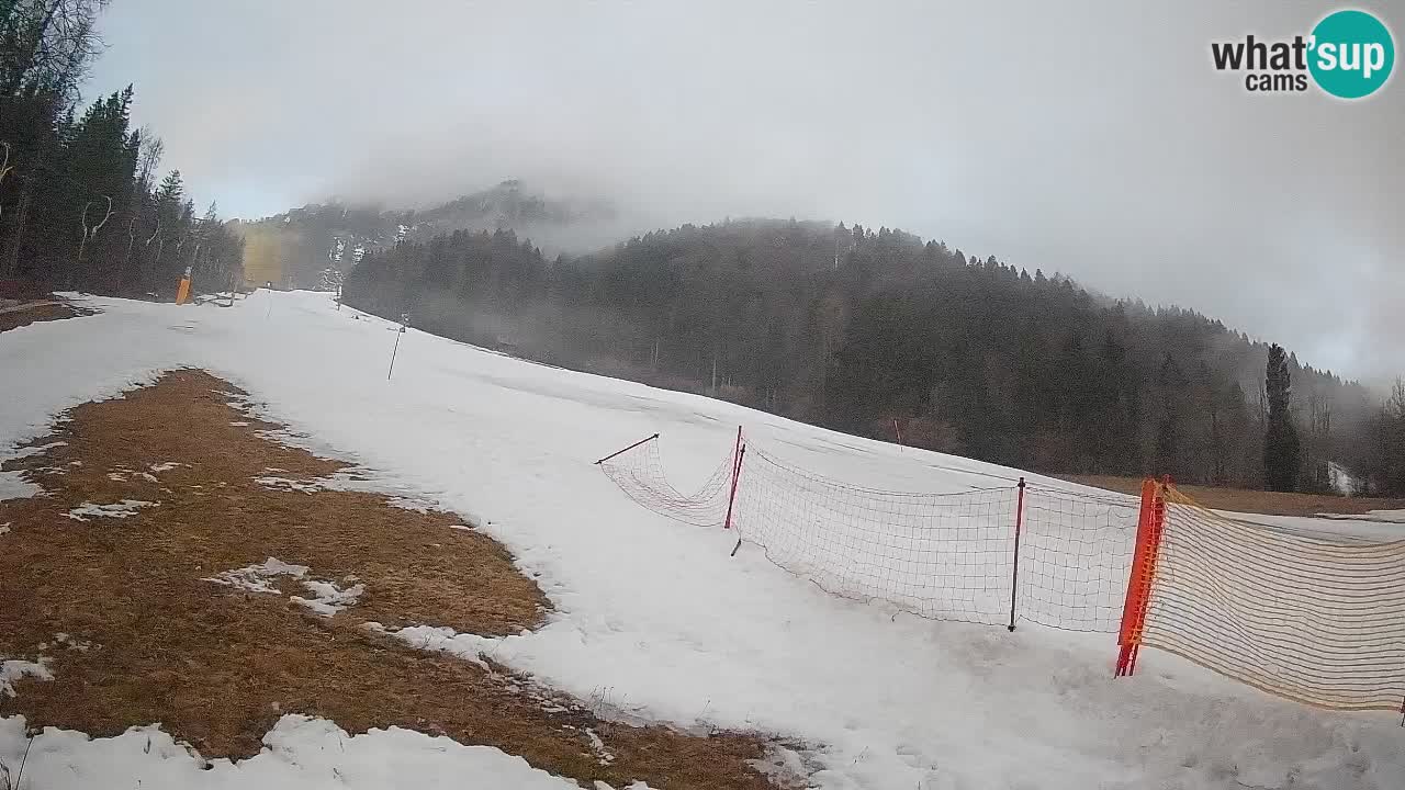 Ski Kranjska Gora | Brsnina