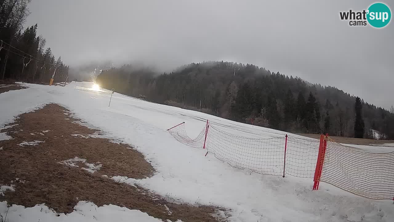 Esquí Kranjska Gora | Brsnina