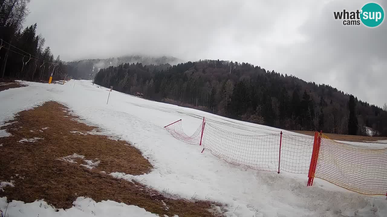 Kranjska Gora Station de ski | Brsnina