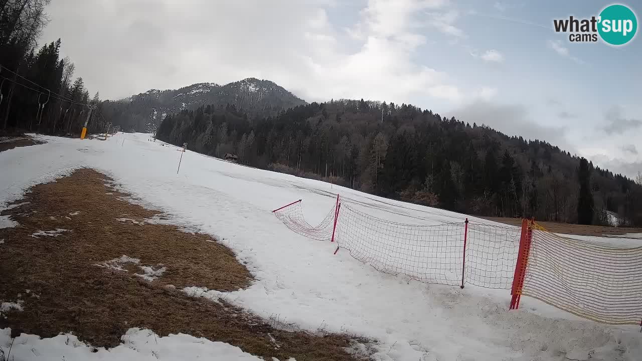 Kranjska Gora Station de ski | Brsnina