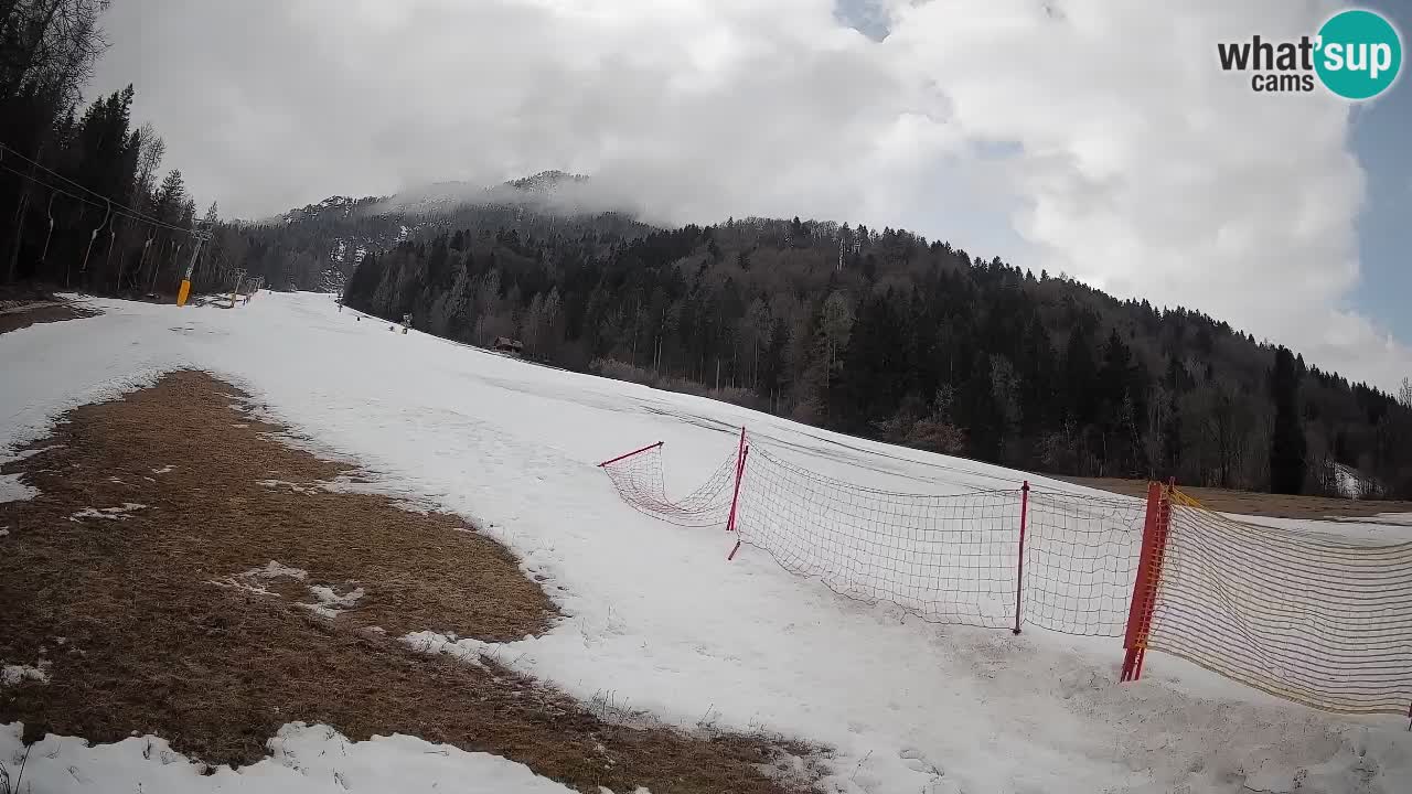 Ski Kranjska Gora | Brsnina