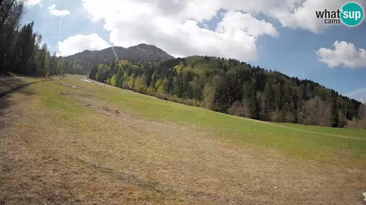 Ski Kranjska Gora | Brsnina