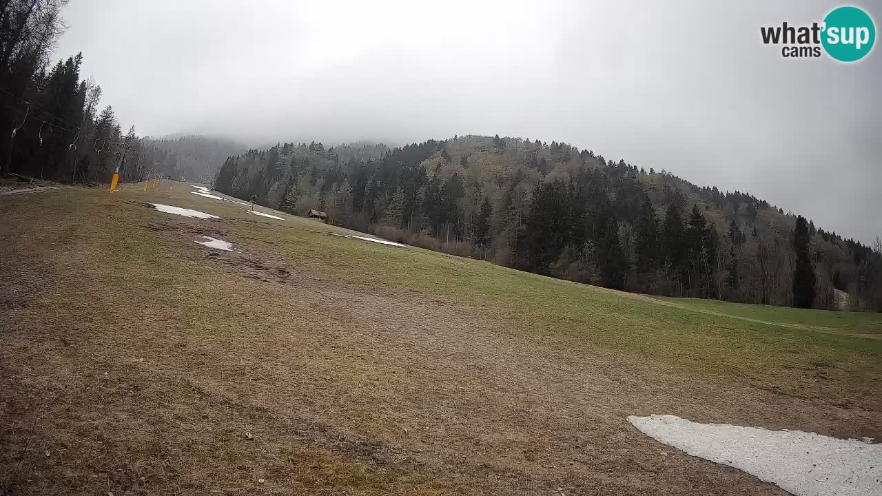 Ski Kranjska Gora | Brsnina