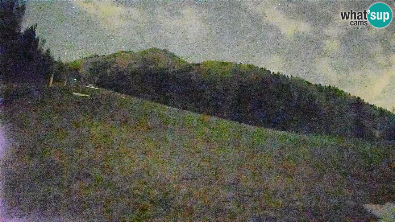 RTC Kranjska Gora | Brsnina