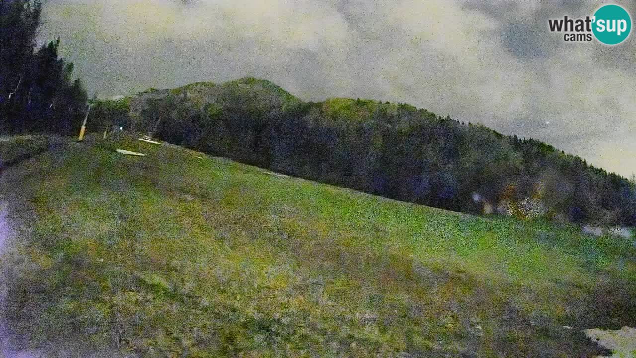 Ski Kranjska Gora | Brsnina