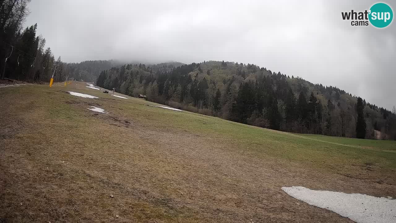 Kranjska Gora Station de ski | Brsnina