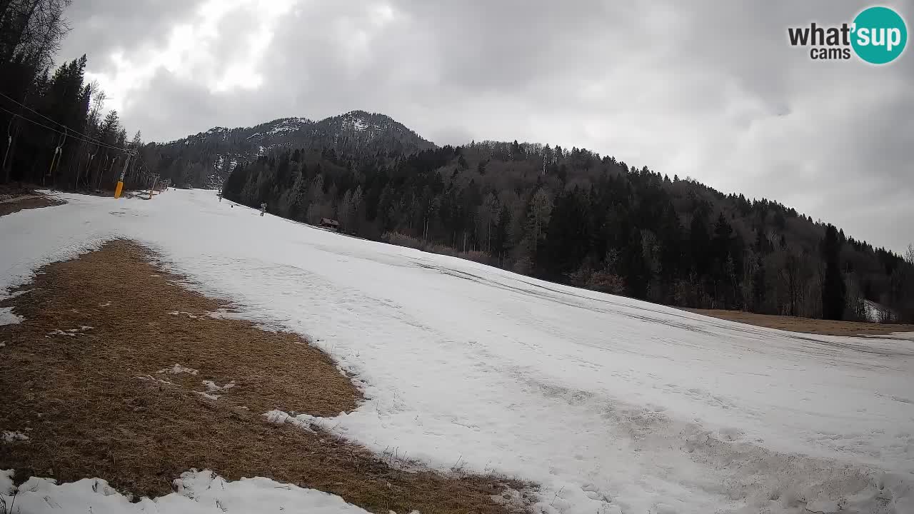 Ski Kranjska Gora | Brsnina