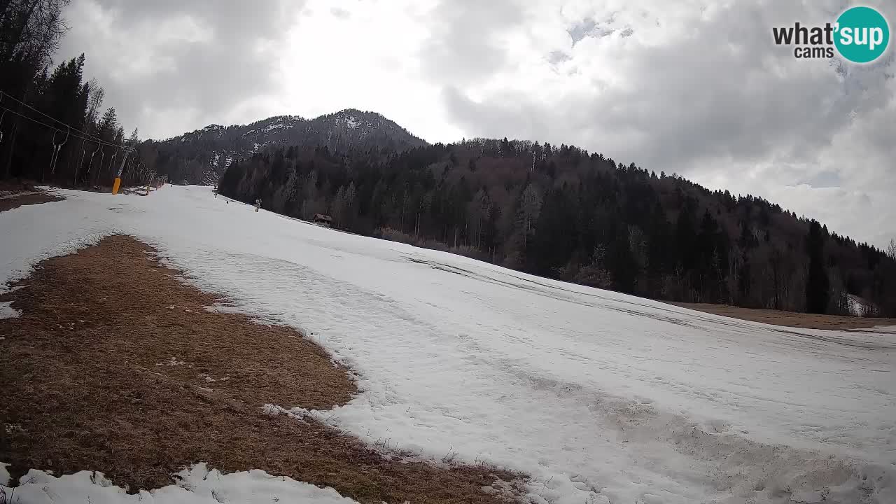 Ski Kranjska Gora | Brsnina