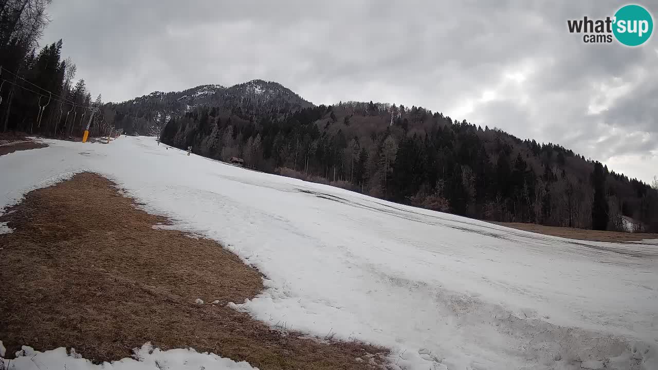 Ski Kranjska Gora | Brsnina