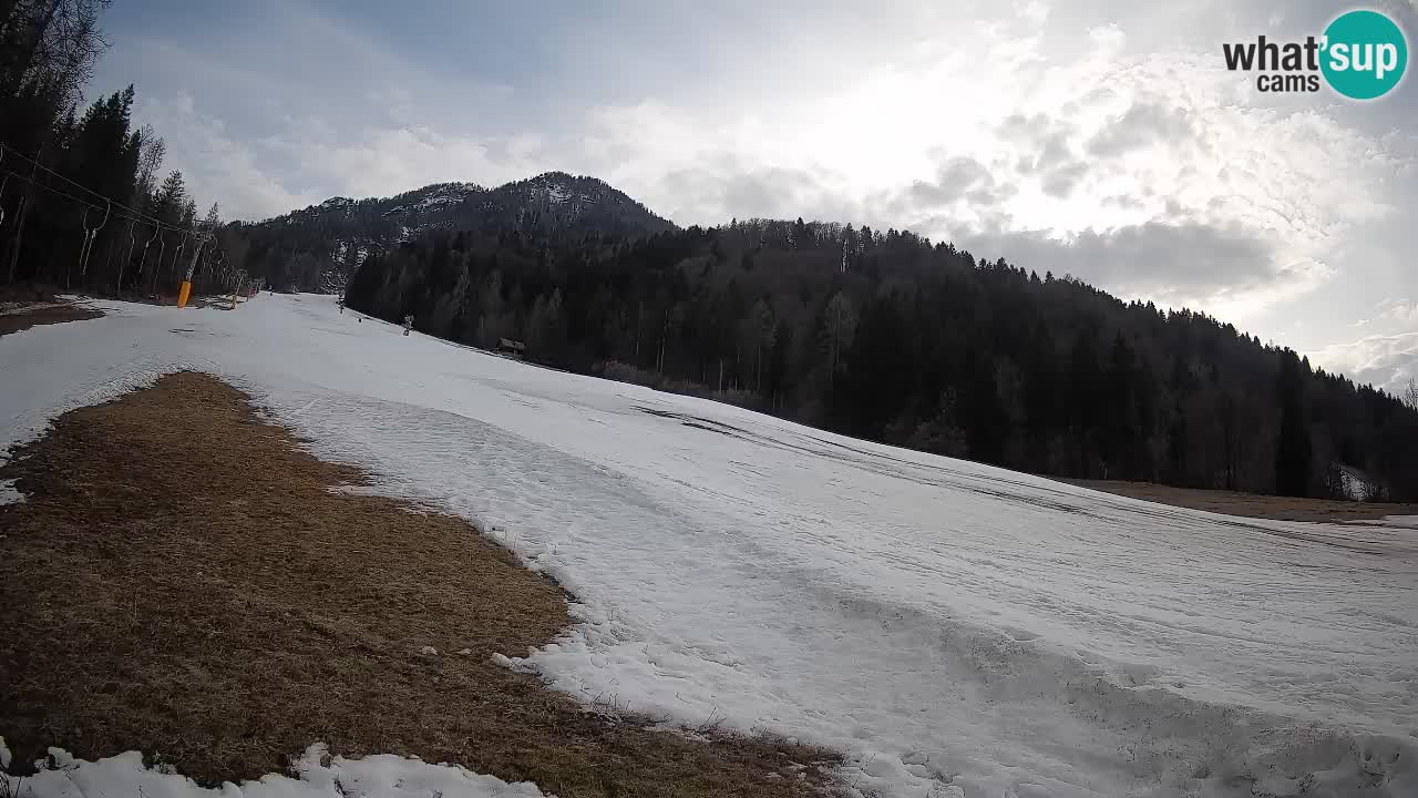 Ski Kranjska Gora | Brsnina