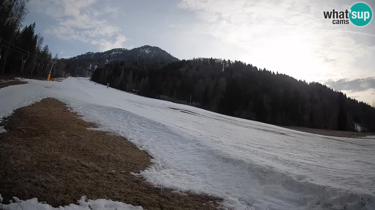 RTC Skigebiet Kranjska Gora | Brsnina