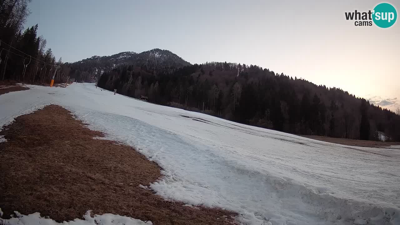 Ski Kranjska Gora | Brsnina