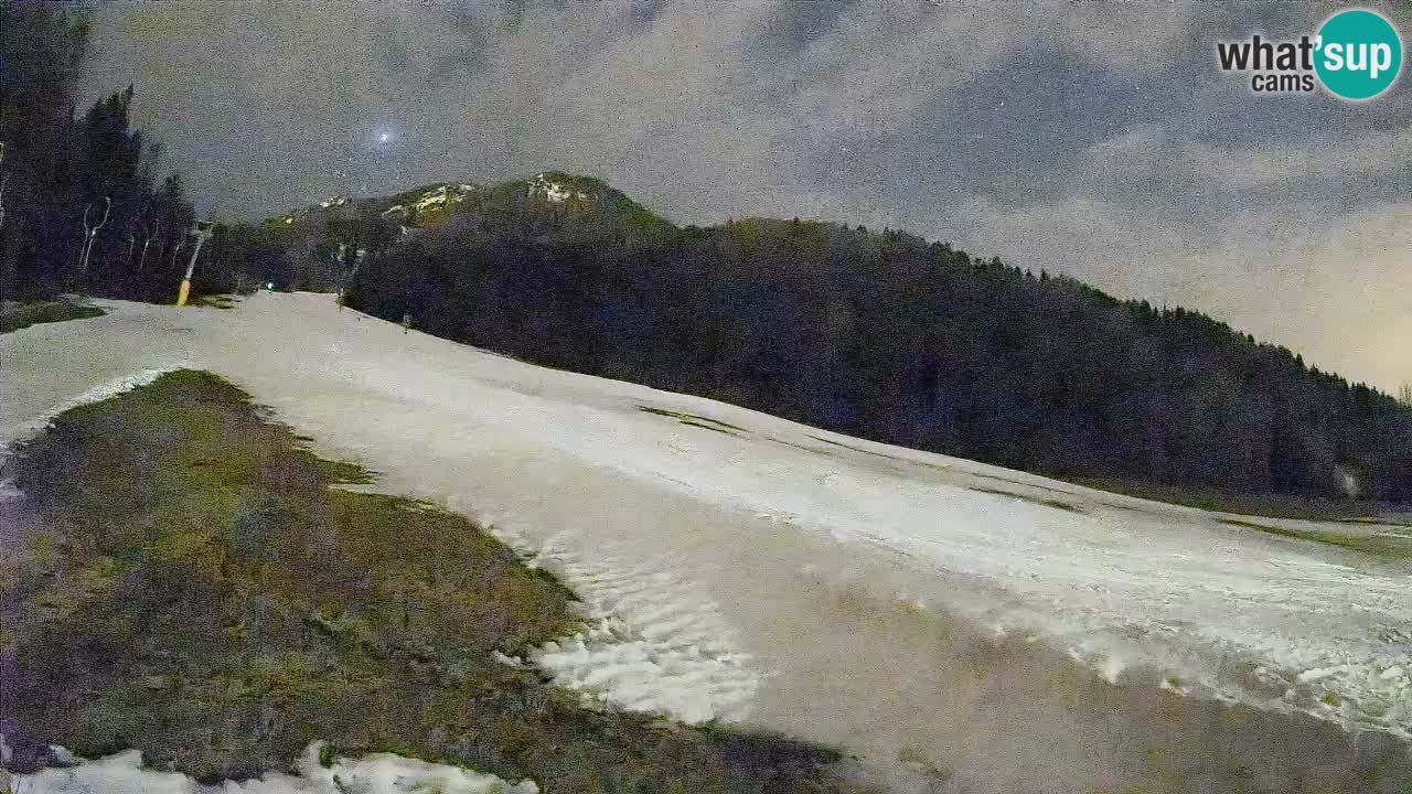 RTC Kranjska Gora | Brsnina