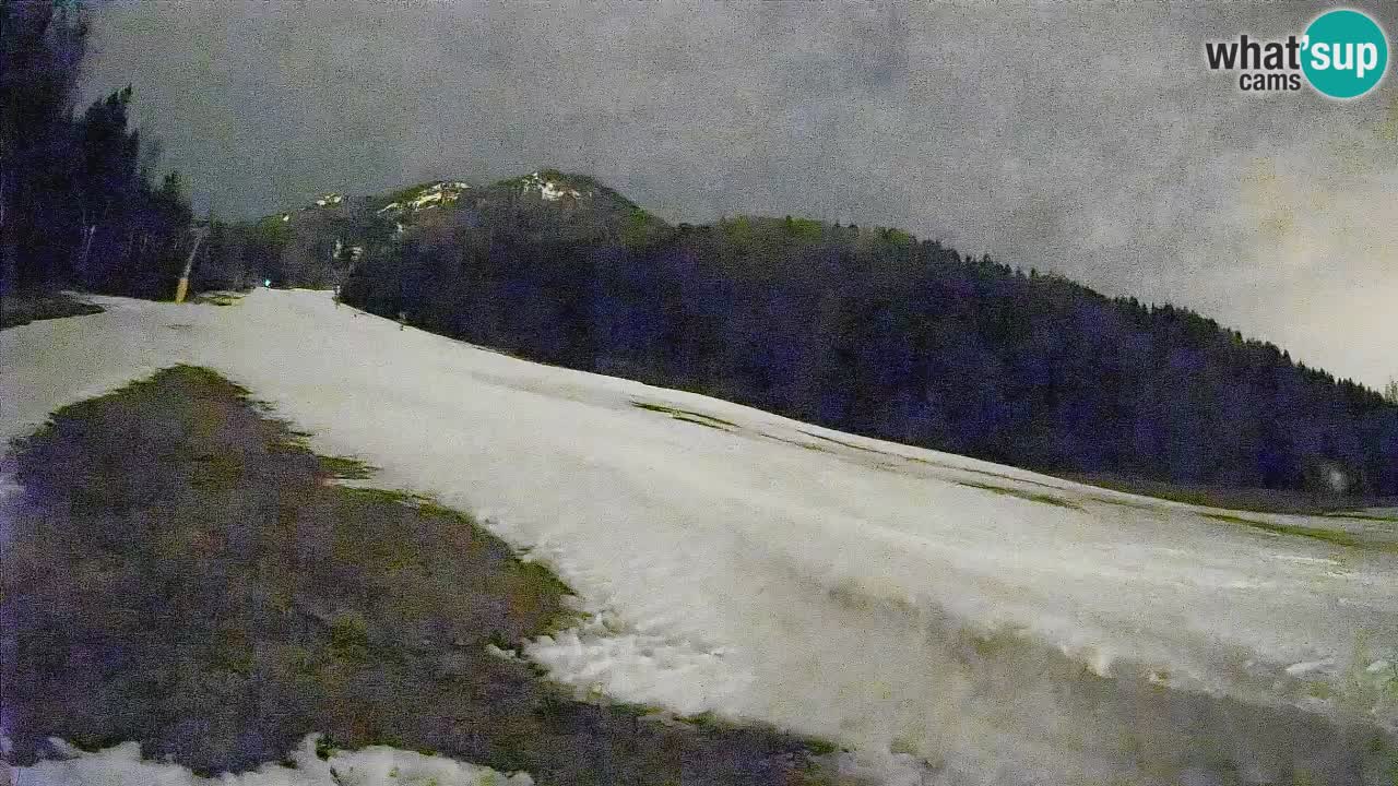 RTC Kranjska Gora | Brsnina