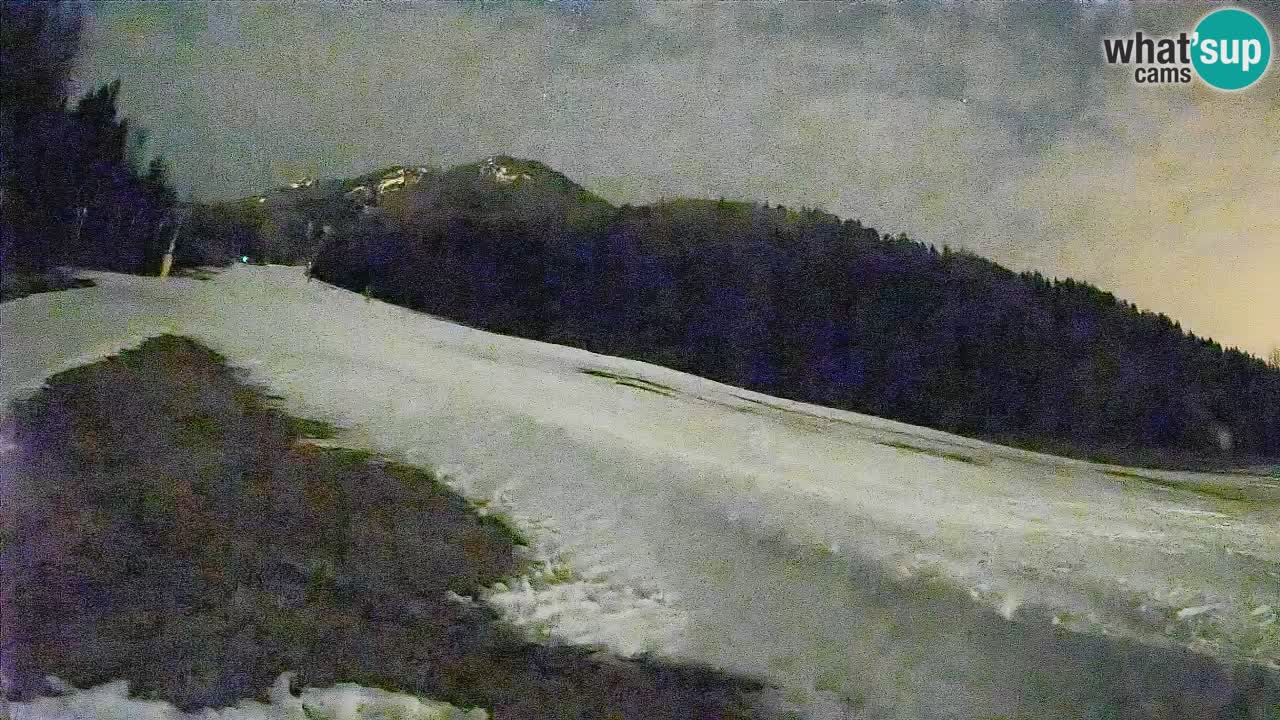 RTC Kranjska Gora | Brsnina