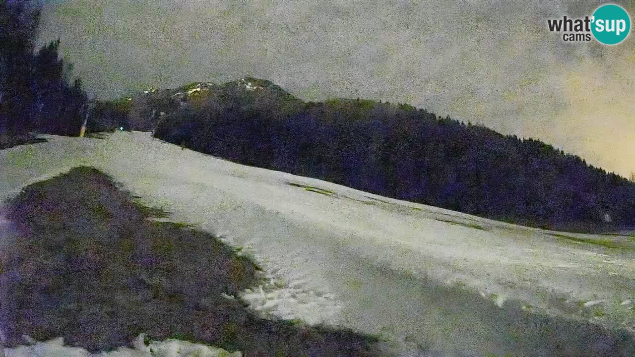 Comprensorio sciistico Kranjska Gora | Brsnina