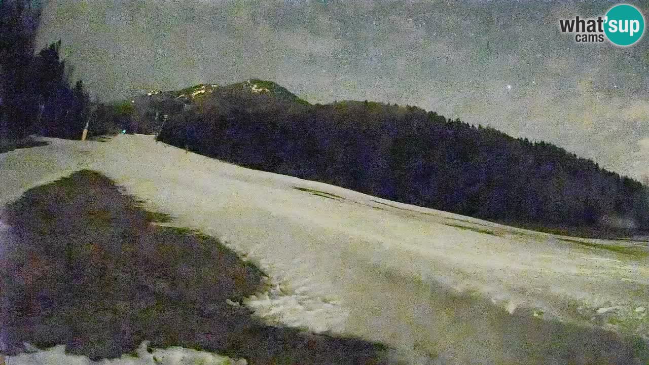 Ski Kranjska Gora | Brsnina