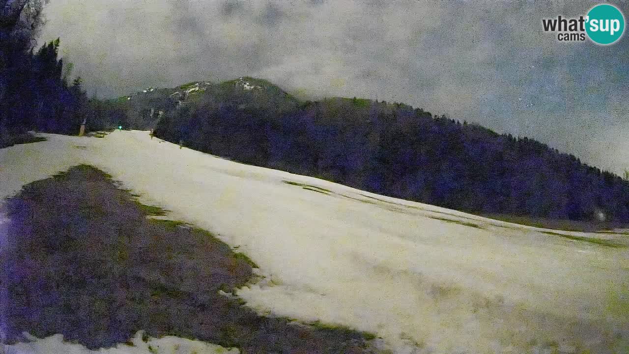 Comprensorio sciistico Kranjska Gora | Brsnina