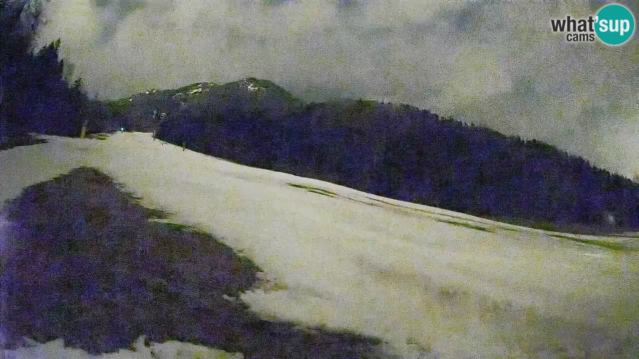 Ski Kranjska Gora | Brsnina