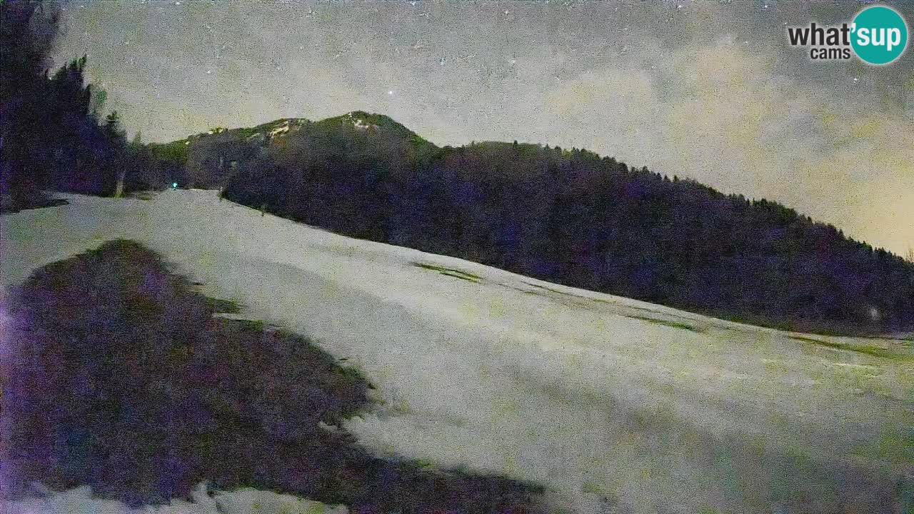 Ski Kranjska Gora | Brsnina