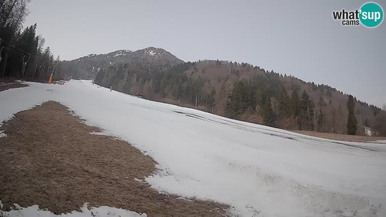 Ski Kranjska Gora | Brsnina