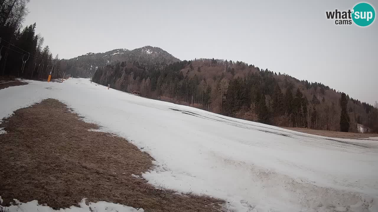 Ski Kranjska Gora | Brsnina