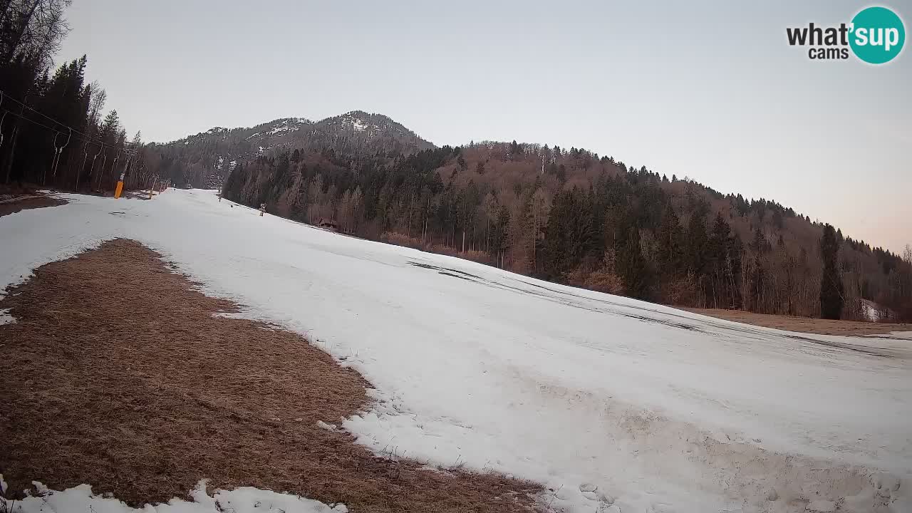 Ski Kranjska Gora | Brsnina