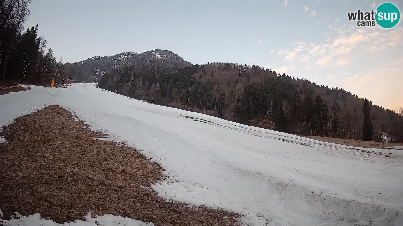 RTC Skigebiet Kranjska Gora | Brsnina