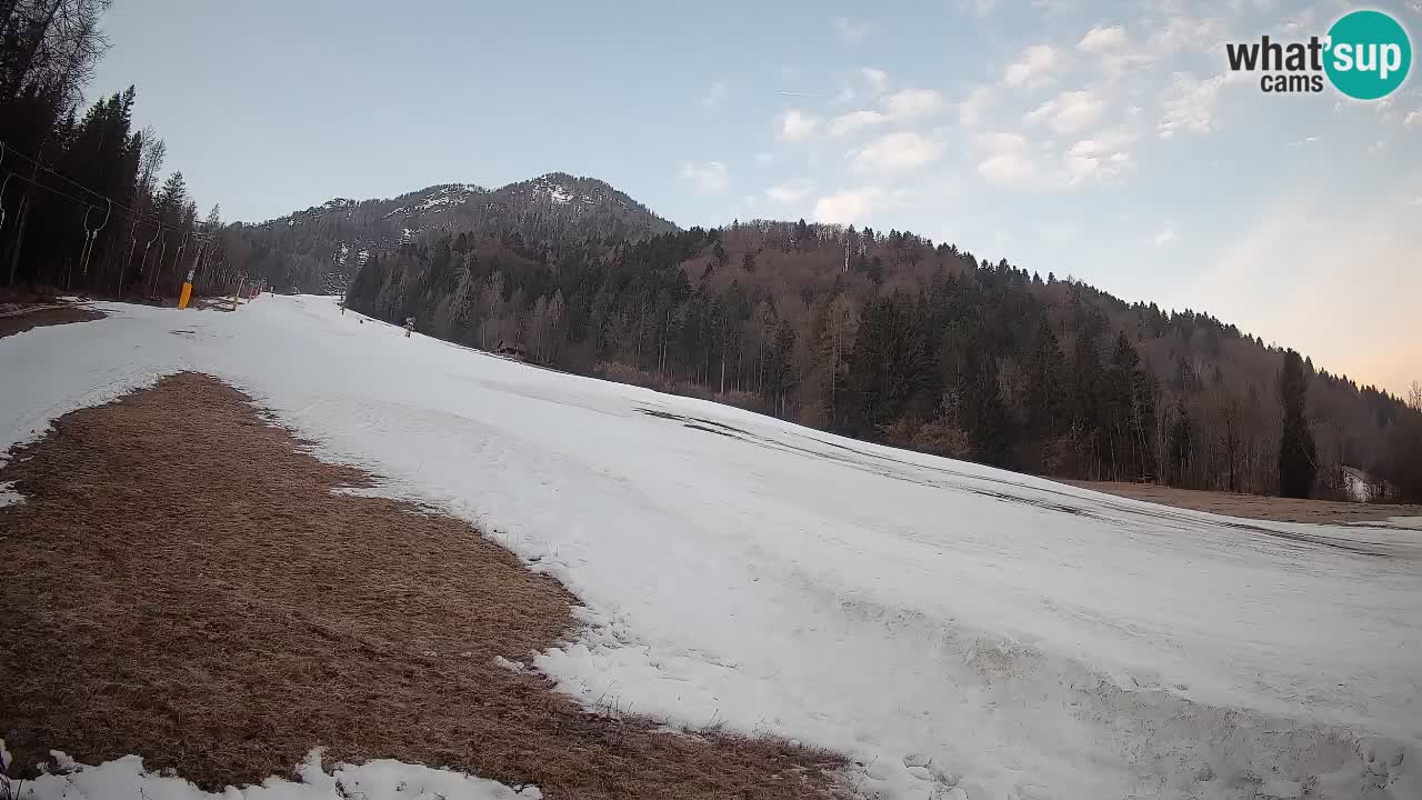 Ski Kranjska Gora | Brsnina