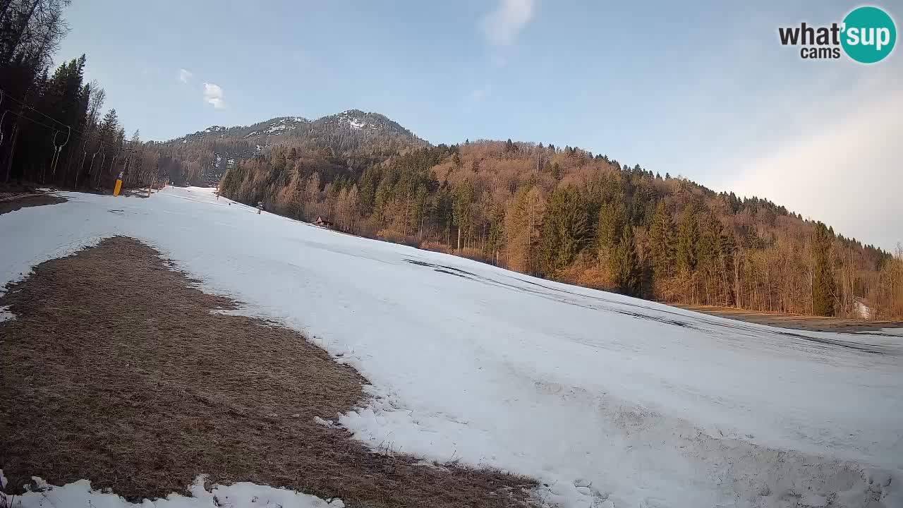 Ski Kranjska Gora | Brsnina